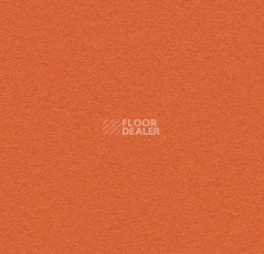 Линолеум Forbo Bulletin Board 2211 tangerine zest фото 1 | FLOORDEALER